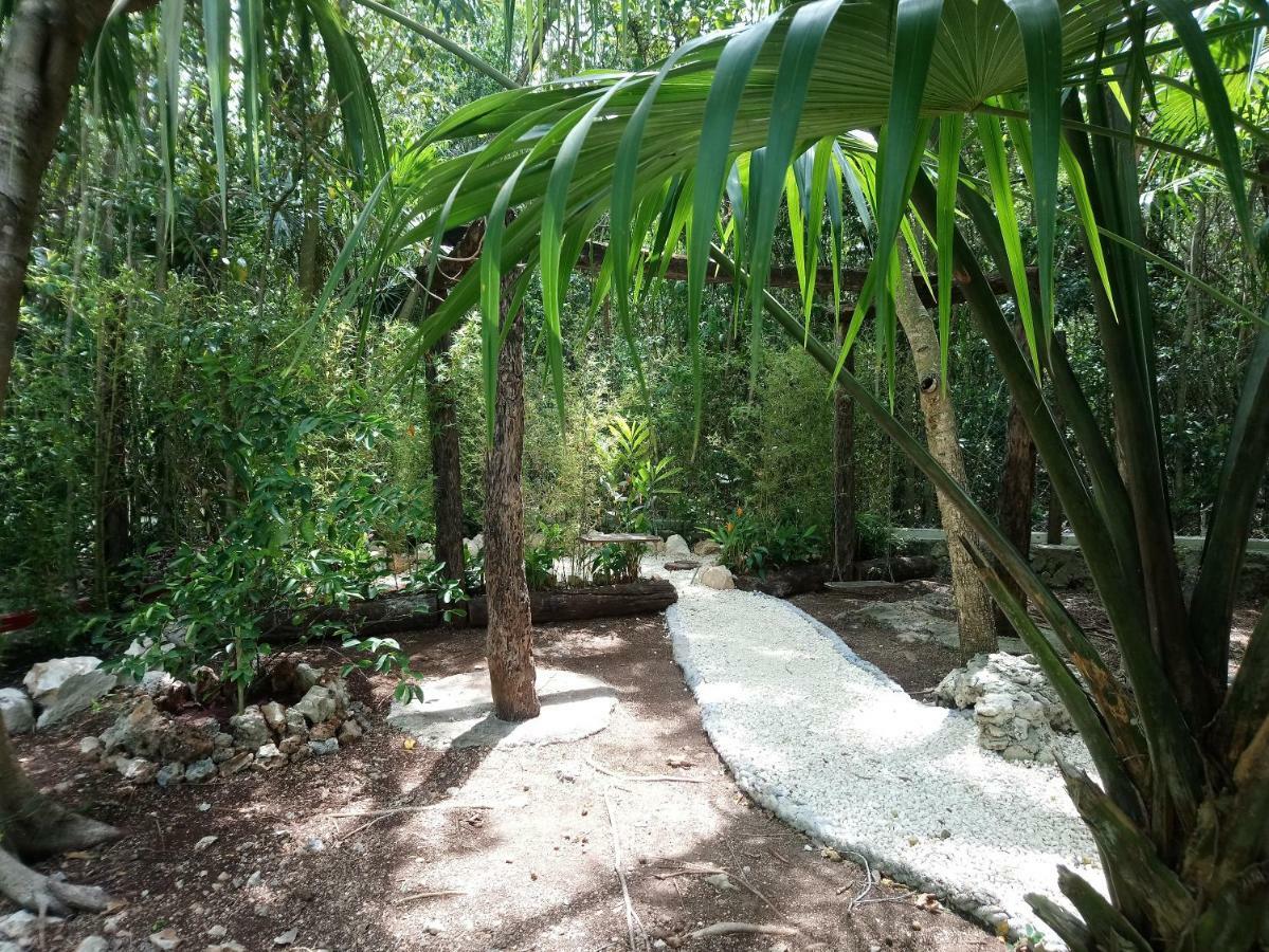 Casita Rustica En La Selva Hotel Cancún Exterior foto